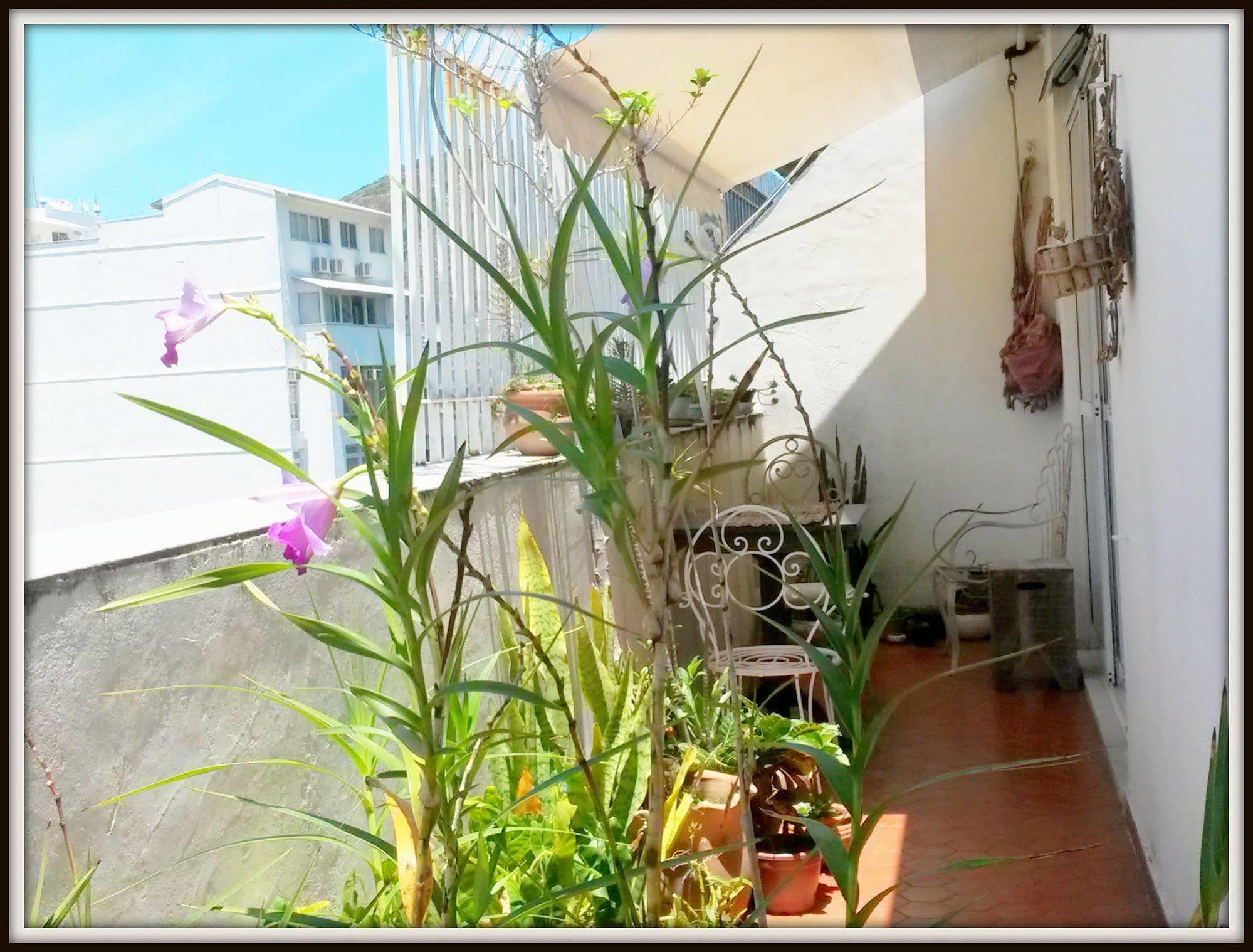 ריו דה ז'ניירו Sonia'S Homestay מראה חיצוני תמונה